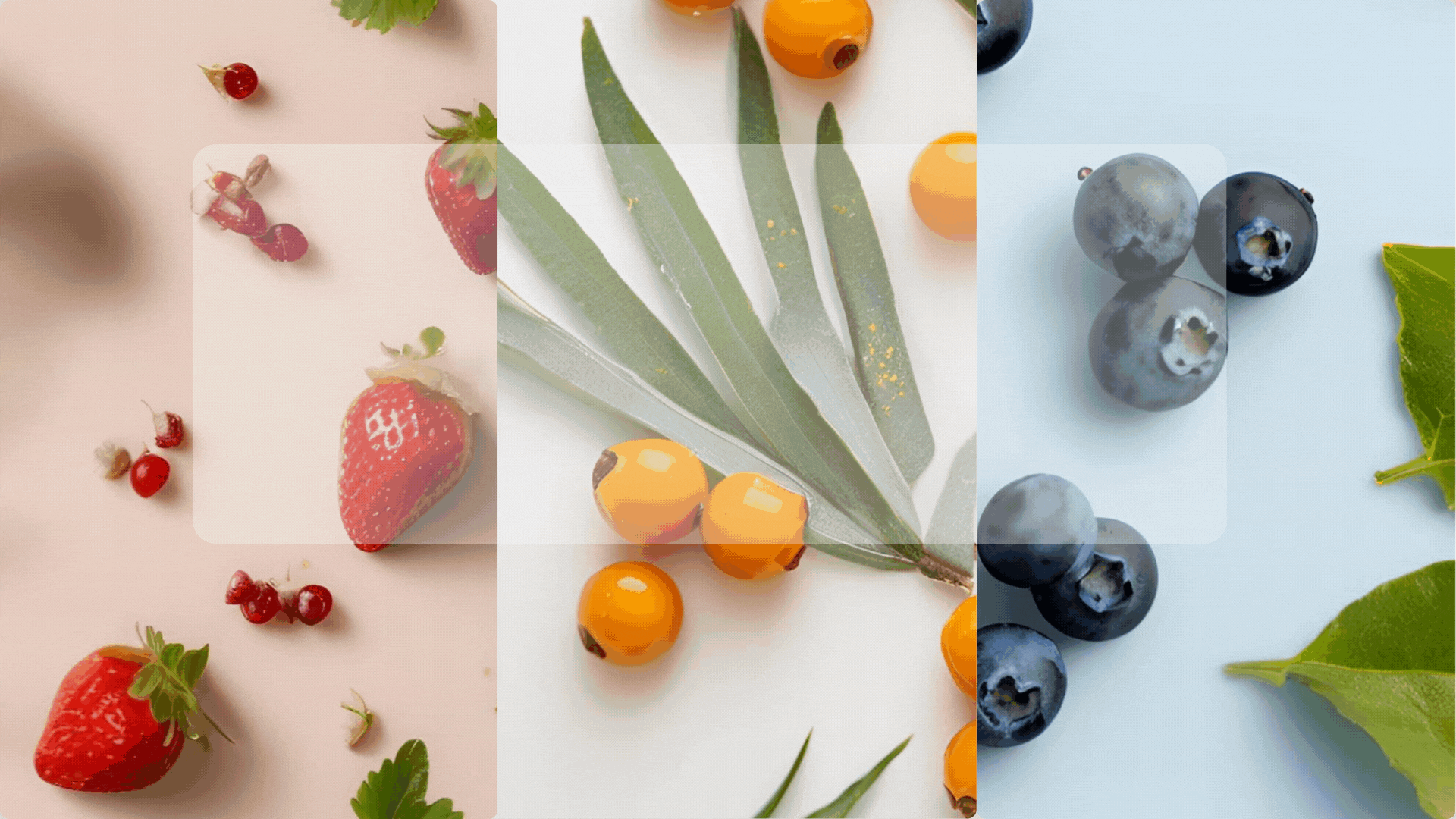 terveellinen välipala, proteiinipitoinen marjajauhe smoothieen